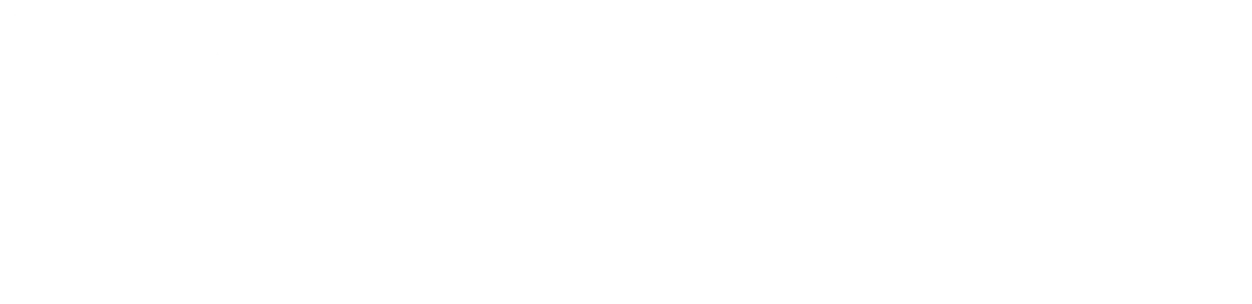 ES_FundedbytheEU_RGB_WHITE Outline